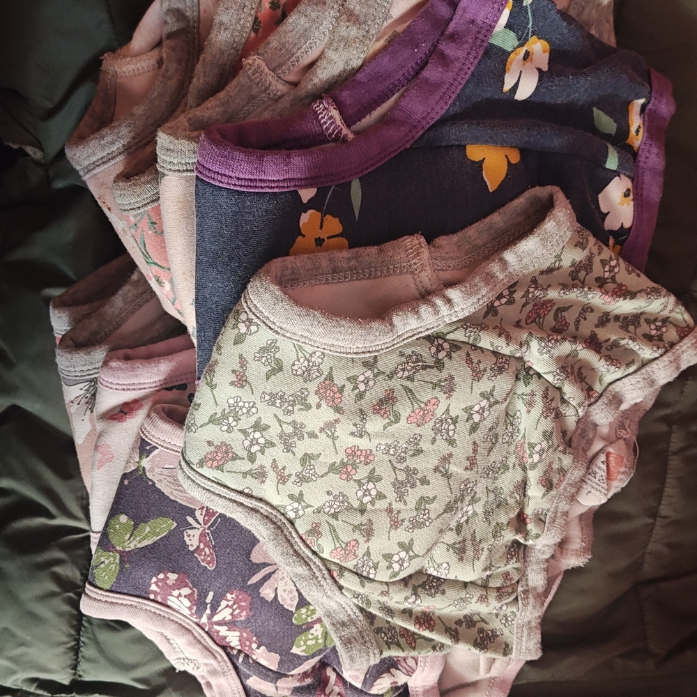 Floral and Butterfly Kids Training Underwear